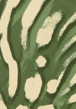 Womens Dark Green & Cream Print Bikini Brief 3 Womens Dark Green & Cream Print Bikini Brief -Fashion Women's Clothing Sales 194200pls ca4be5accbea60d