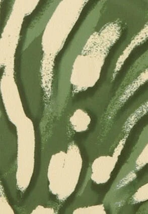 Womens Dark Green & Cream Print Bikini Brief Womens Dark Green & Cream Print Bikini Brief -Fashion Women's Clothing Sales 194200pls ca4be5accbea60d